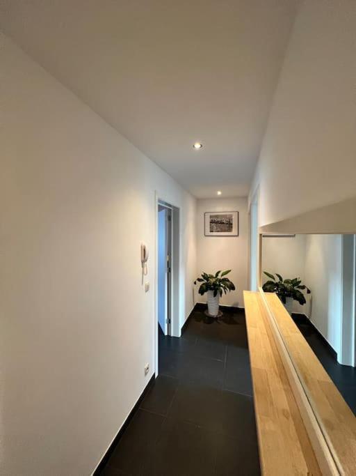 Tehuizen Alness Appartement Wetteren Buitenkant foto