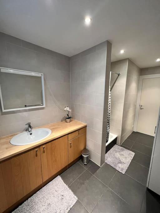 Tehuizen Alness Appartement Wetteren Buitenkant foto