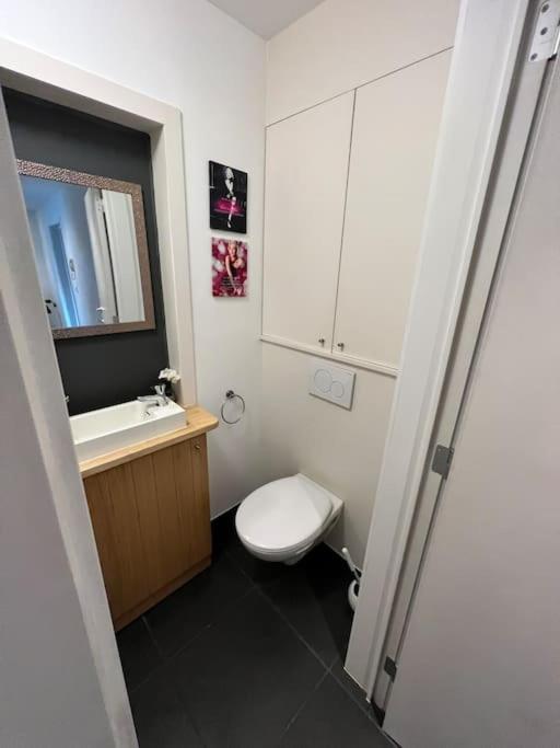 Tehuizen Alness Appartement Wetteren Buitenkant foto